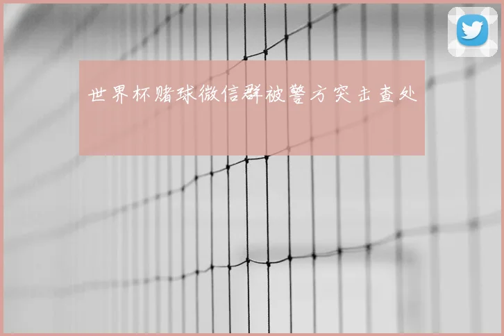 世界杯赌球微信群被警方突击查处