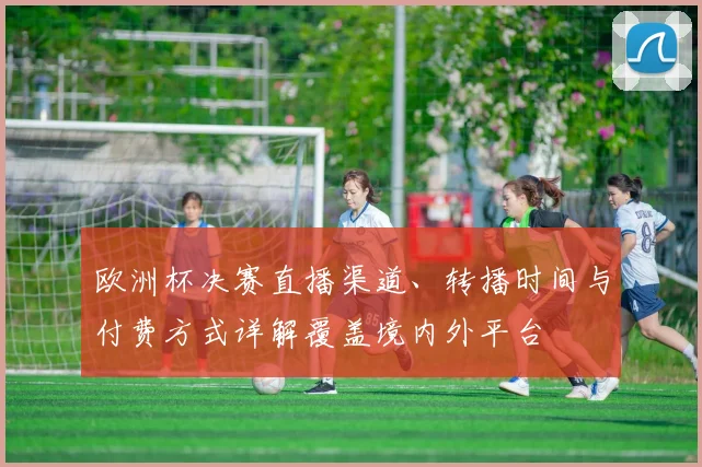 欧洲杯决赛直播渠道、转播时间与付费方式详解覆盖境内外平台