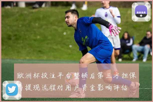 欧洲杯投注平台整顿后第三方担保与提现流程对用户资金影响评估