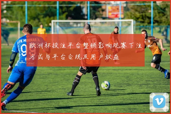 欧洲杯投注平台整顿影响观赛下注方式与平台合规及用户权益